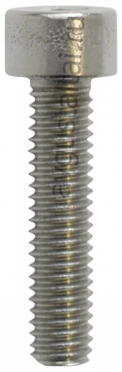 Винт крепления масляного бачка